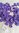 25 KamSnap Größe T5 Matt Farbe: lila